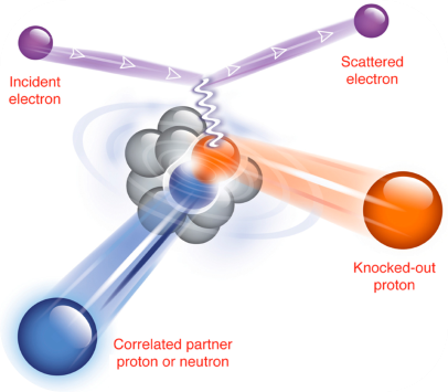 The nuclear couple spied through transparent nuclei